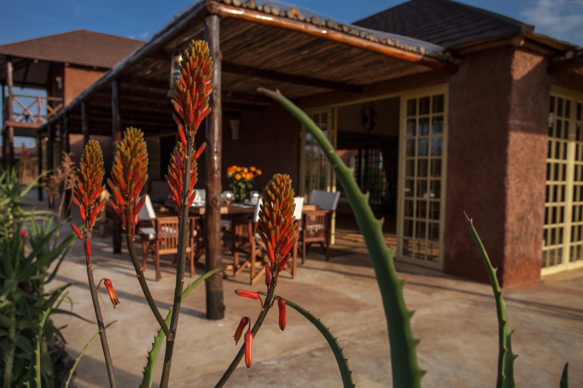 Kili Villa Kilimanjaro Luxury Retreat Аруша Стая снимка