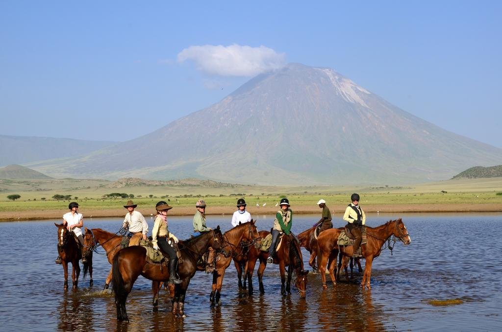 Kili Villa Kilimanjaro Luxury Retreat Аруша Екстериор снимка